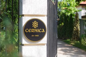 Gradina 1