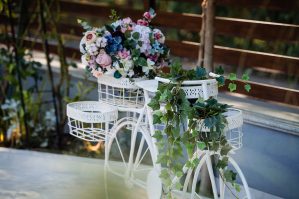 Gradina 11