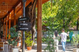 Gradina 3