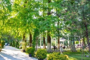 Gradina 7