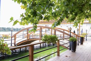 Gradina 8